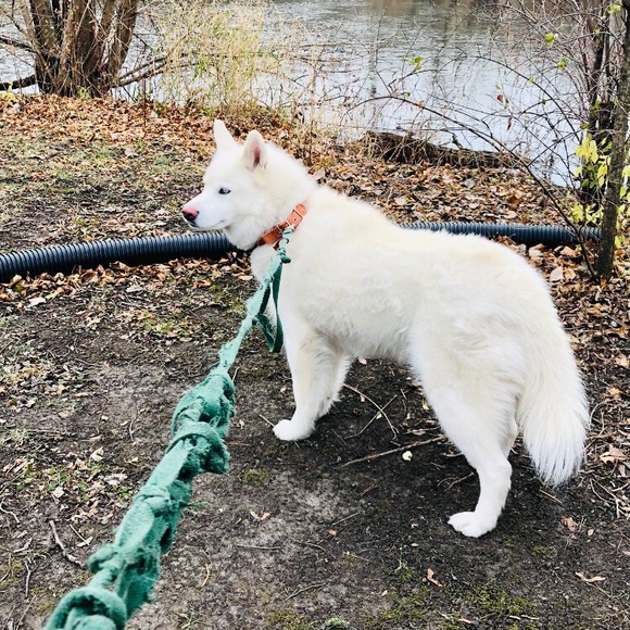 Meet your Posher, Karen - Picture 7 of 16